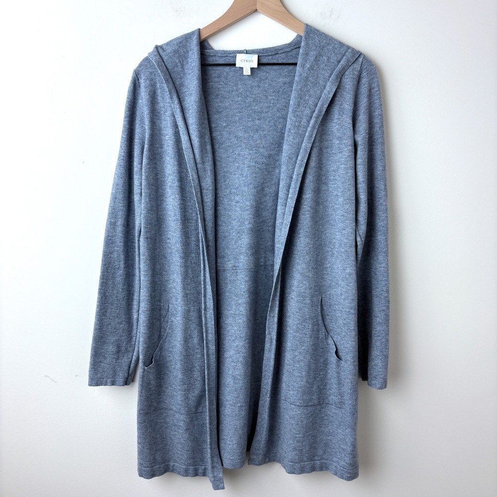 Cyrus Hooded Cardigan Womens L Blue Gray Minimalist Coastal Soft Girl Capsule‎